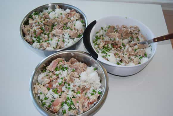 Thức ăn cho chó