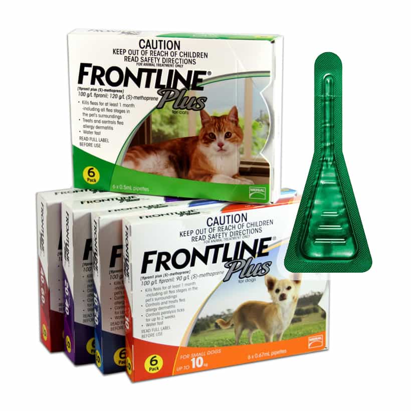 Thuốc nhỏ gáy trị ve chó Frontline