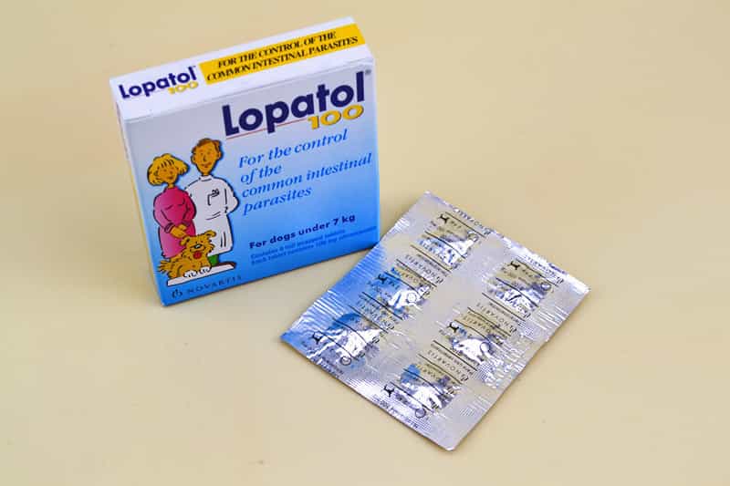 Hộp thuốc tẩy giun chó Lopatol