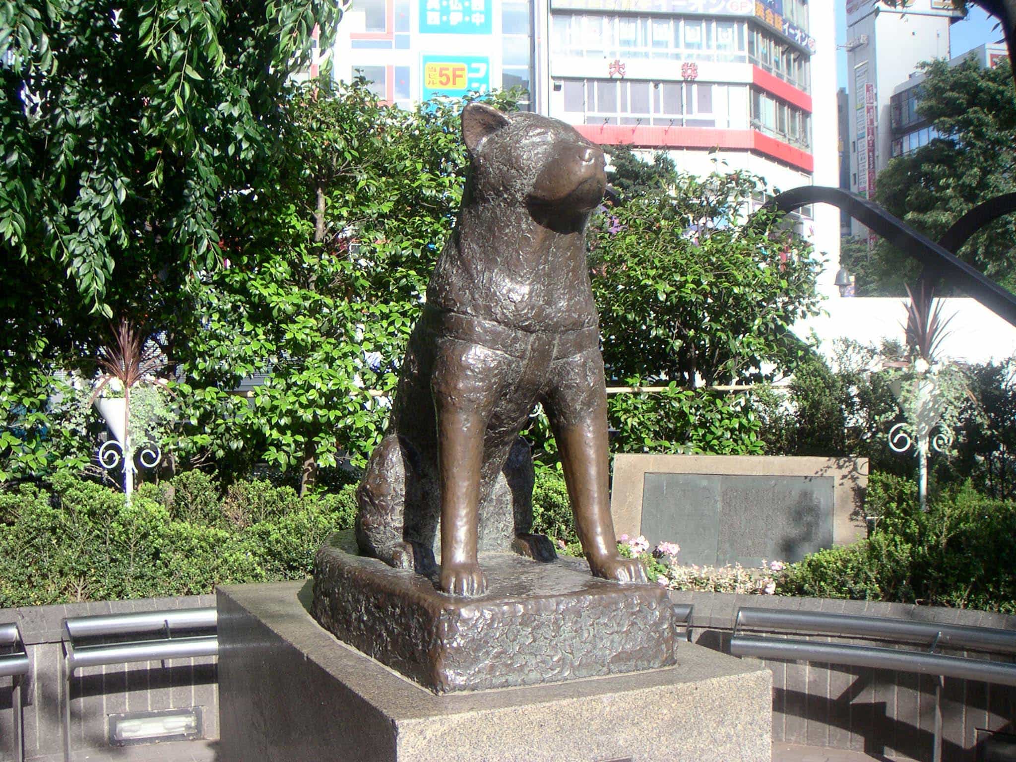 Tượng Hachiko bằng đồng