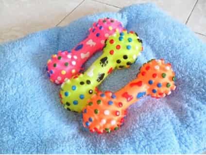 Xương gai nhiều màu cho chó