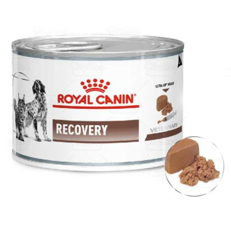 Sản phẩm Pate Royal Canin Starter