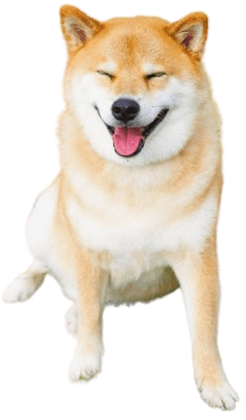 au88 Inu