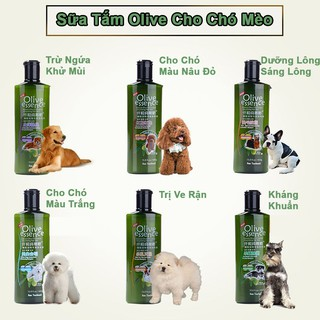 sữa tăm olive cho cho alaska